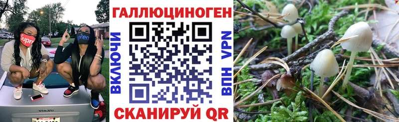 Галлюциногенные грибы ЛСД  Беломорск 